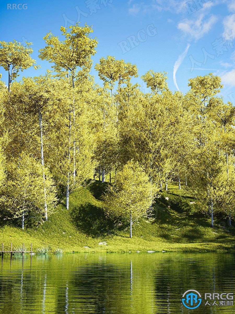 草与树植被3D模型库Blender扩展资料素材V6.4.3版