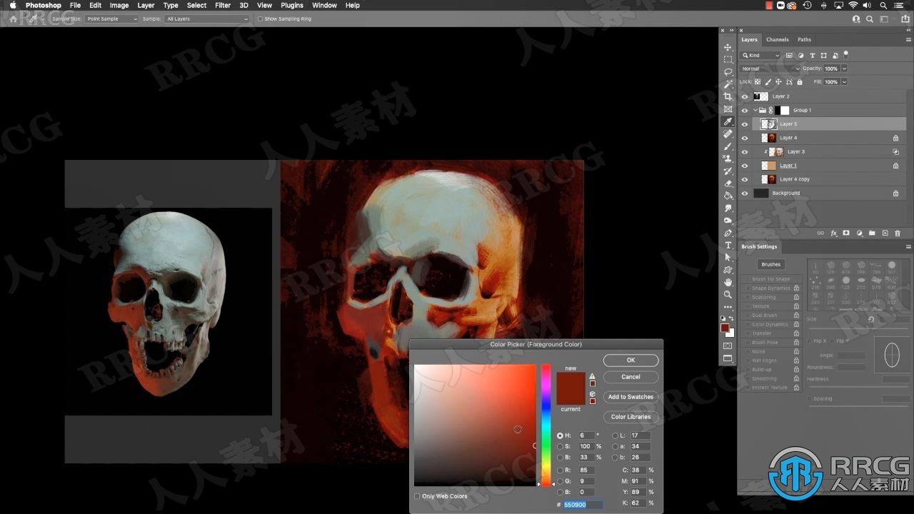 人类骷髅数字绘画实例训练视频教程