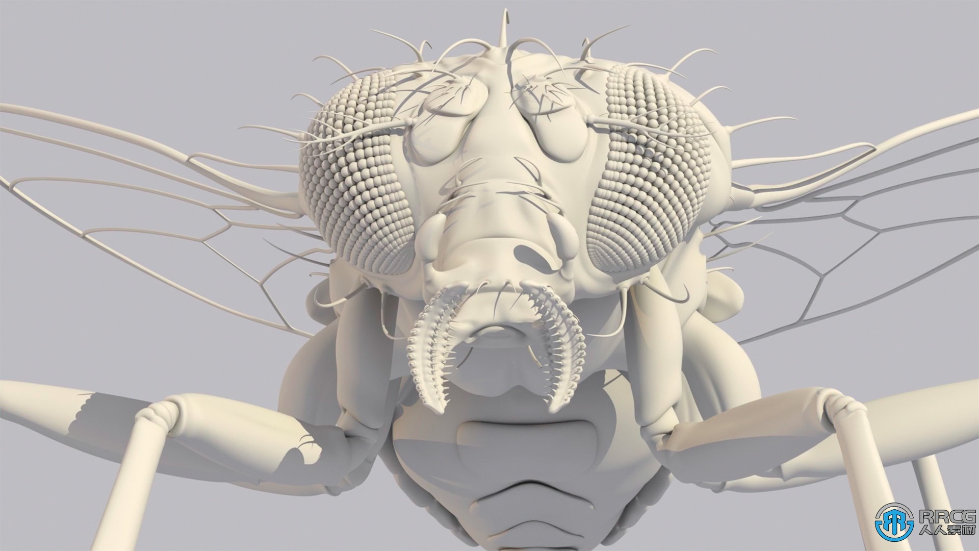 Foundry发布Modo 16.0版 更新了3D建模工具集等功能