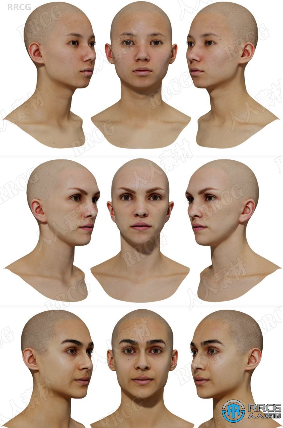 48组男性和女性头部扫描高精度3D模型合集