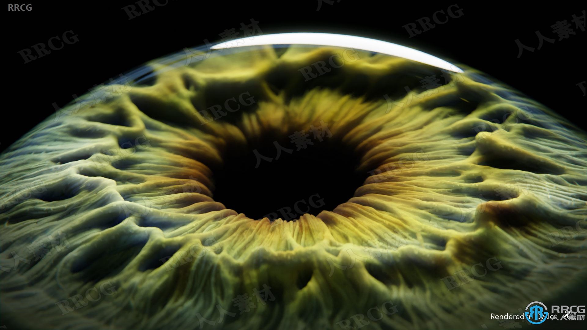 逼真人物眼睛虹膜细节特写3D模型与贴图合集