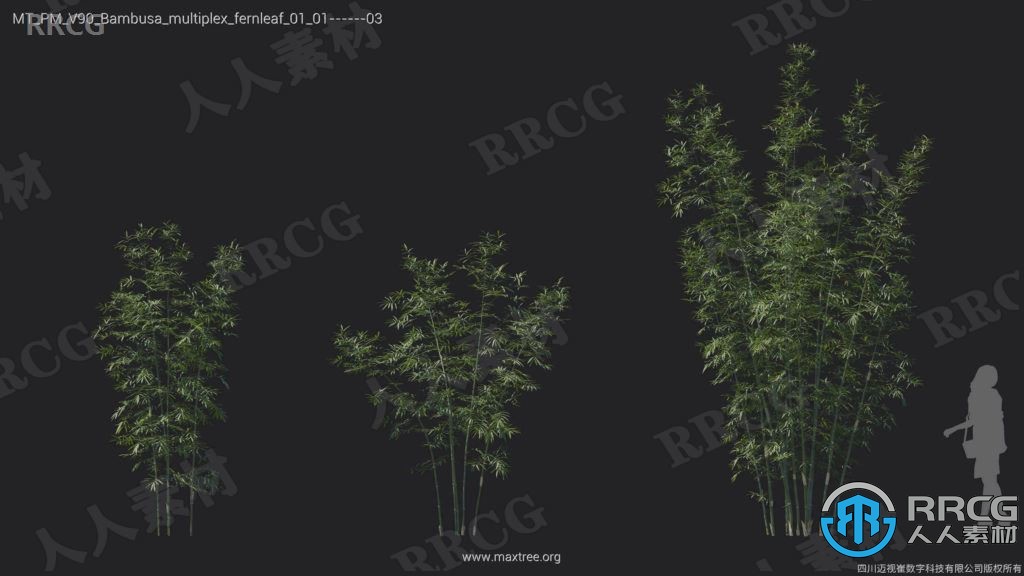 78组高品质竹笋相关树木植物3D模型合集