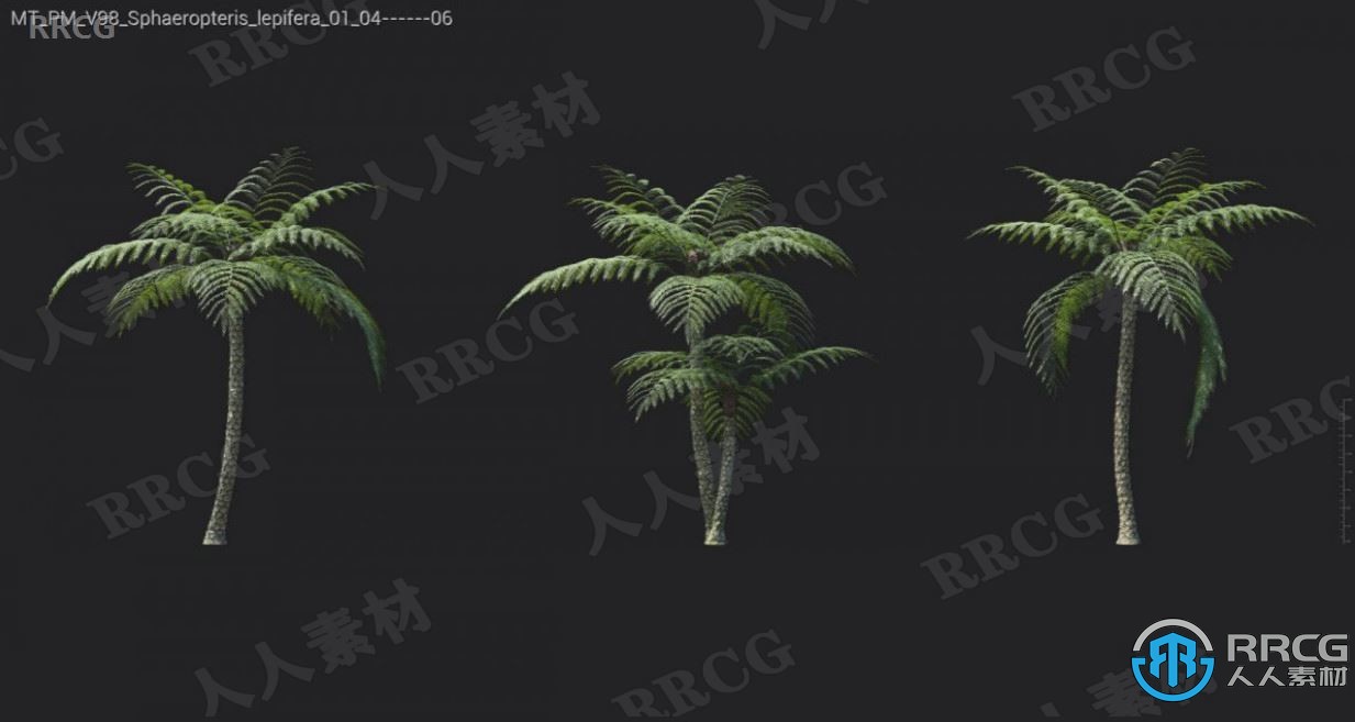 72组高品质绒毛草蝴蝶兰红豆杉等植物3D模型合集