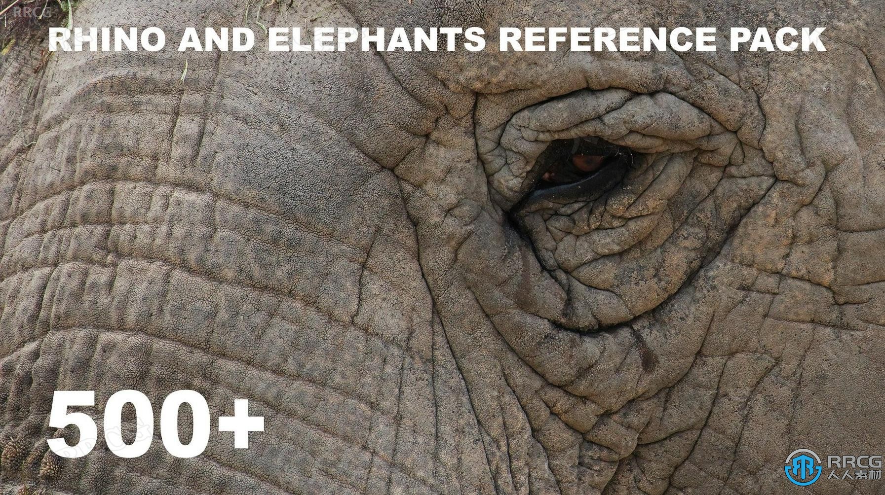 500張大象犀牛等動物造型高清參考圖合集