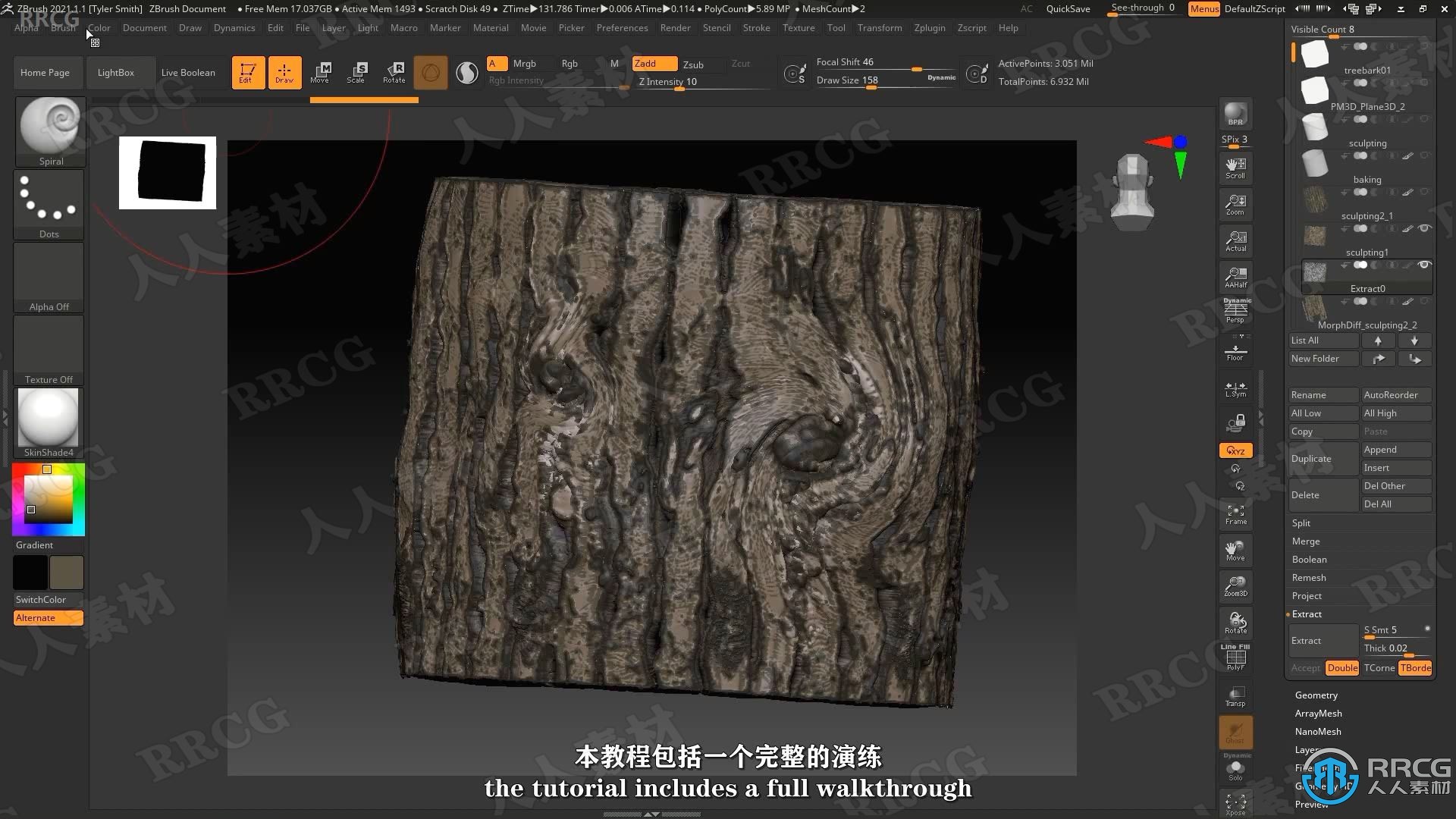 【中文字幕】Zbrush古老苔藓树游戏资产制作全流程视频课程