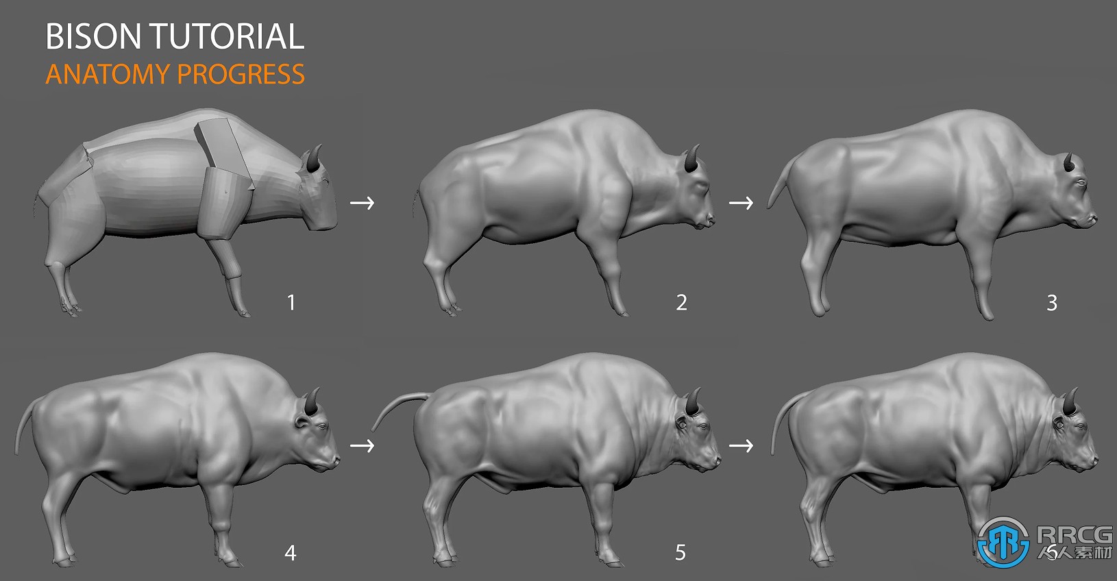 Zbrush与Maya野牛雕刻完整实例制作视频教程