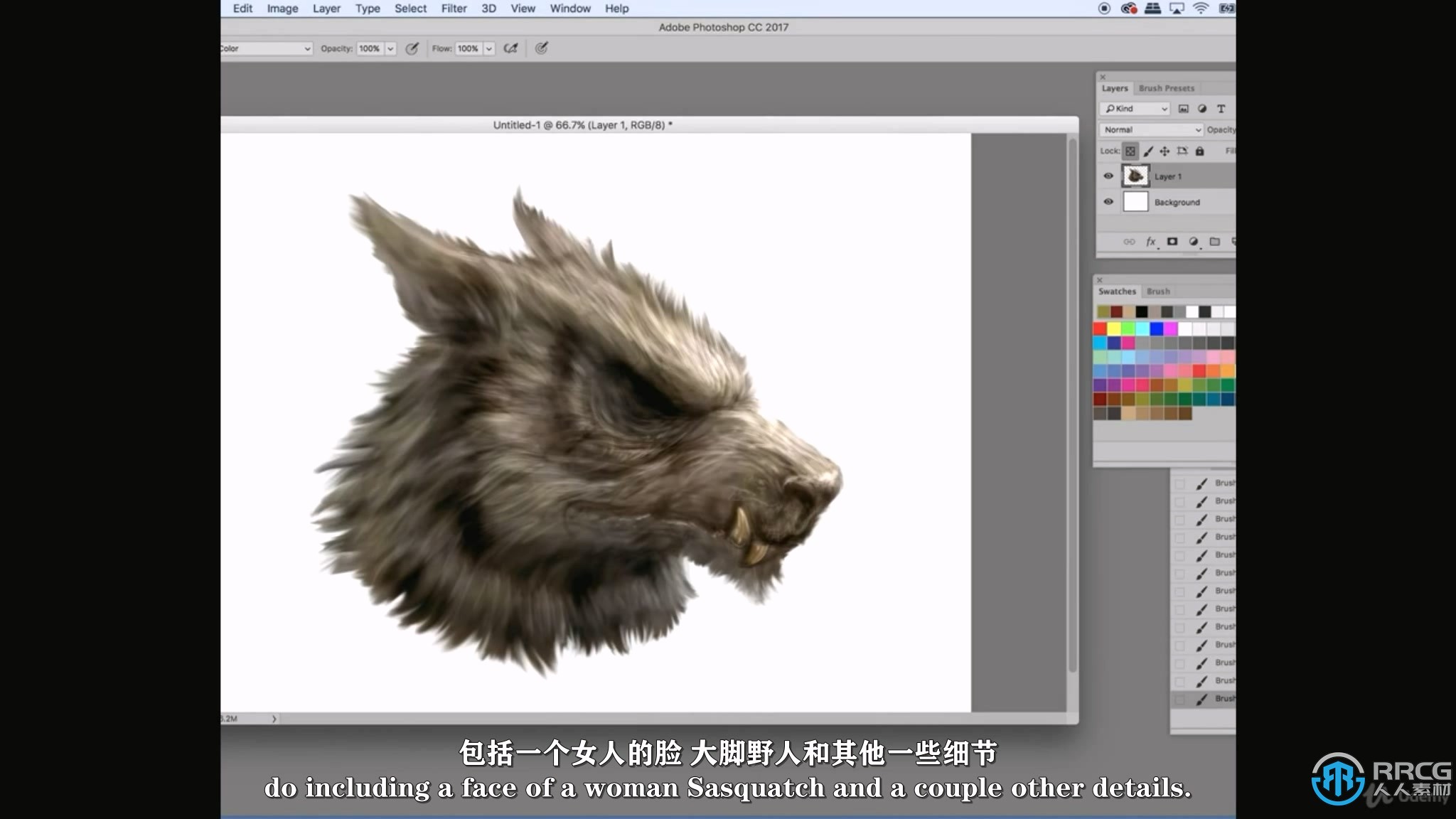 【中文字幕】PS生物动物毛发数字绘画实例训练视频教程