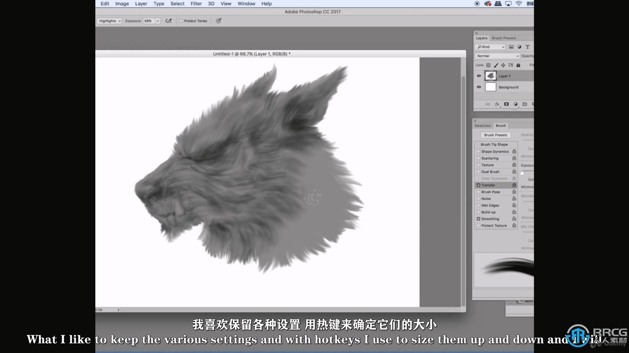 【中文字幕】PS生物动物毛发数字绘画实例训练视频教程