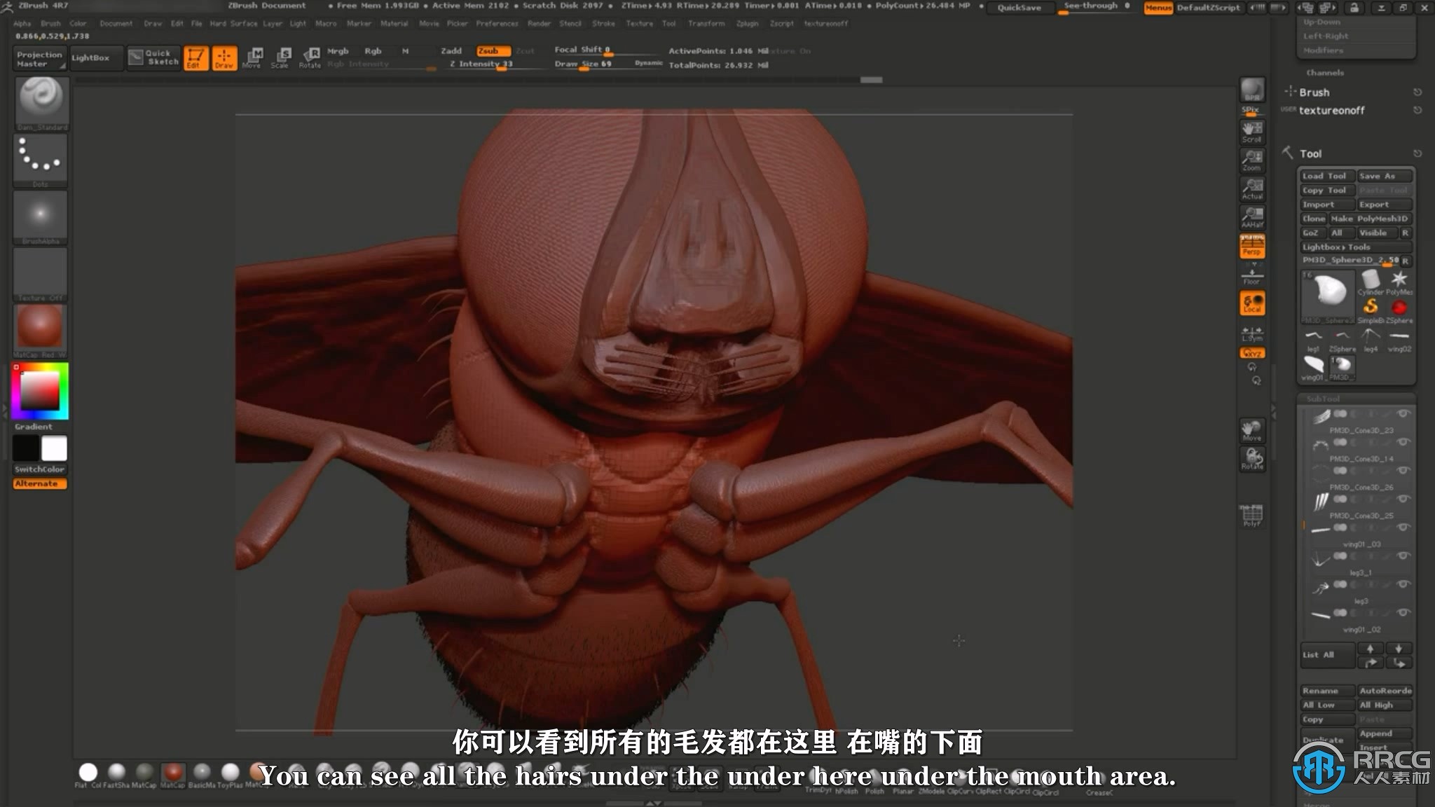 【中文字幕】Zbrush逼真苍蝇雕刻建模实例制作视频教程