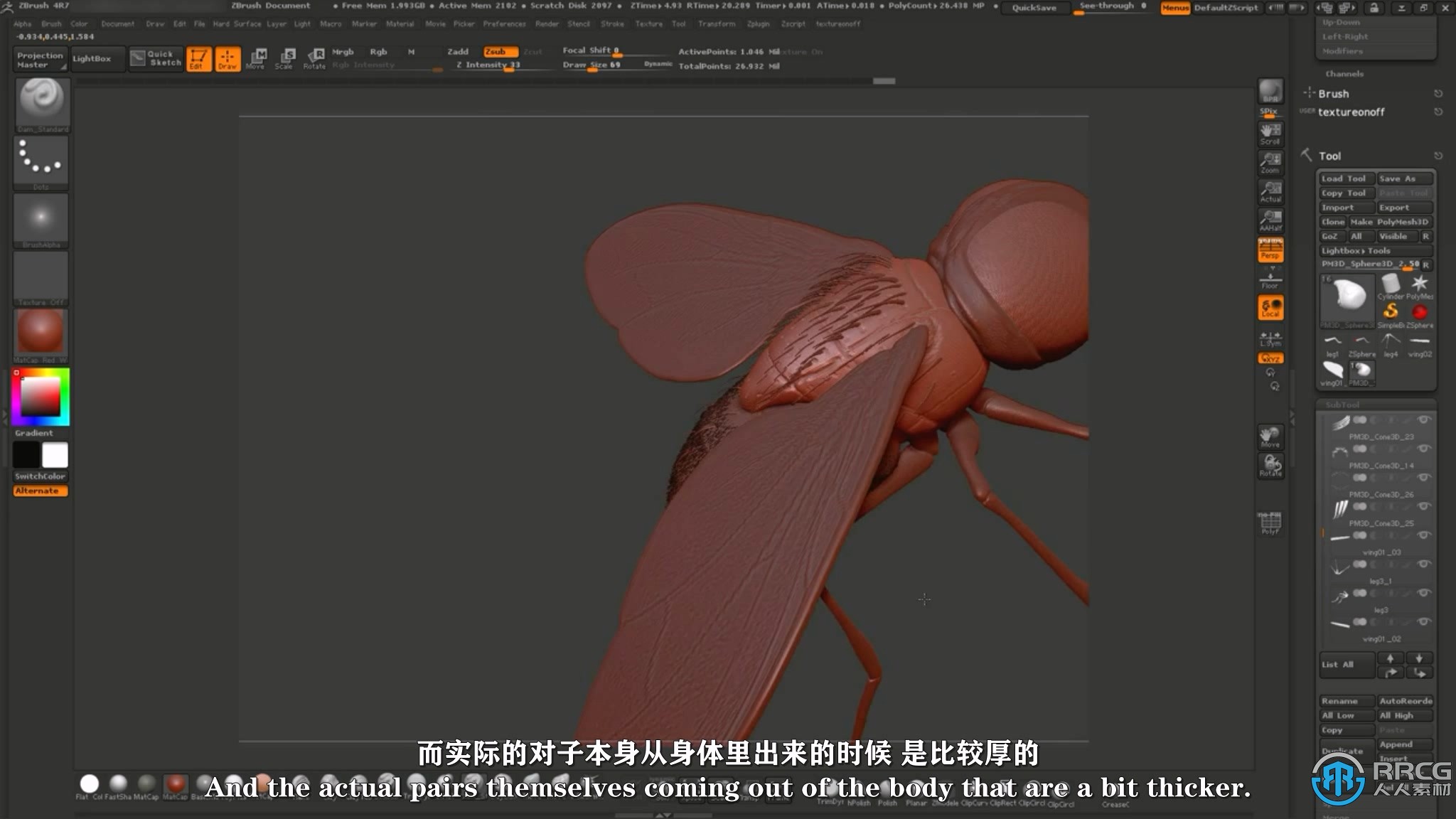 【中文字幕】Zbrush逼真苍蝇雕刻建模实例制作视频教程