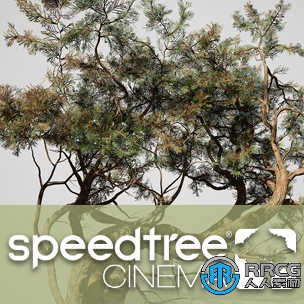 SpeedTree Modeler Cinema Edition樹木植物實時建模軟件V9.2.1版