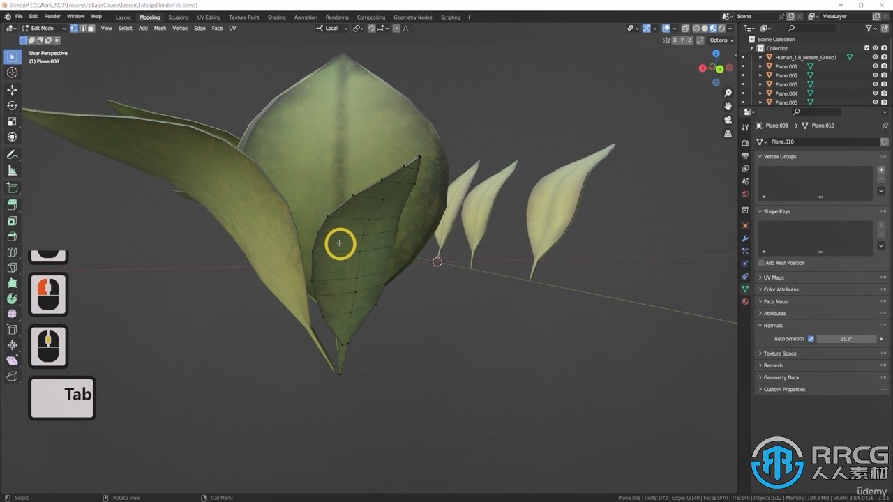 Blender与UE5制作3D植物和植被大师级视频教程