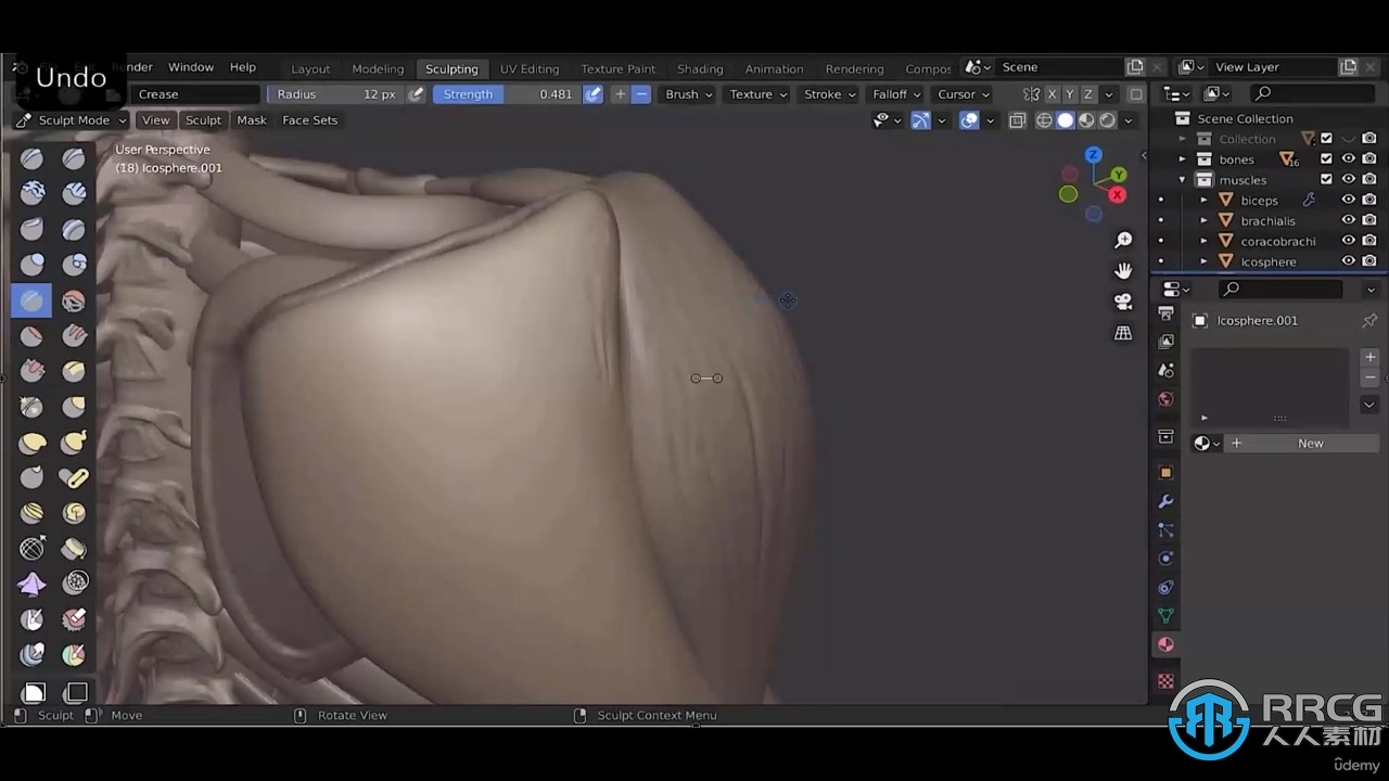 Blender人像雕塑肌肉雕刻3D解剖学大师级视频教程