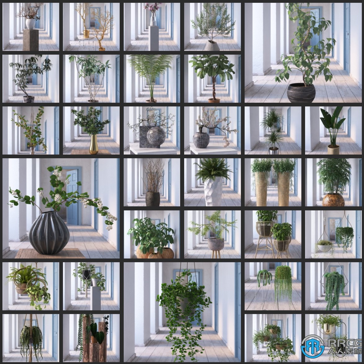 46组高质量室内植物花卉盆栽3D模型合集 Evermotion 第260季