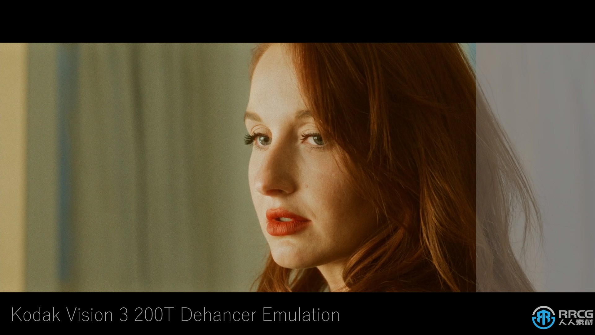 Dehancer Film膠片顏色分級PS與LR插件V2.3.0版