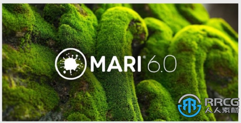 Mari三维纹理贴图绘制工具软件6.0v1版