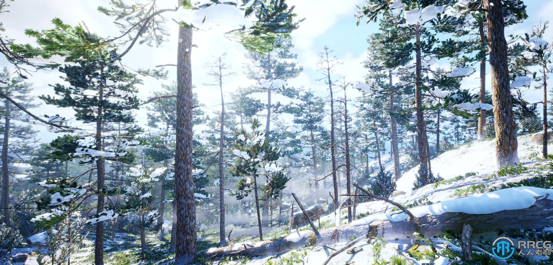 完整植物生物群落环境场景Unreal Engine游戏素材资源