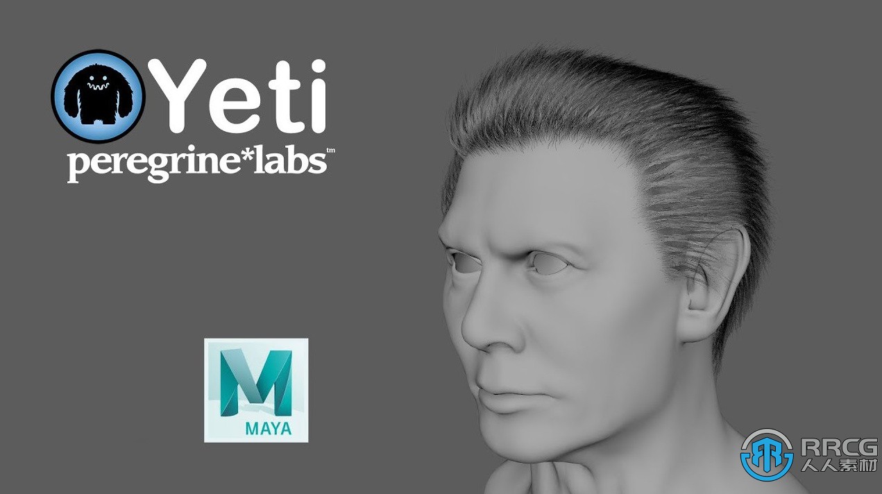 Peregrine Labs Yeti皮毛羽毛Maya插件V4.2.3版