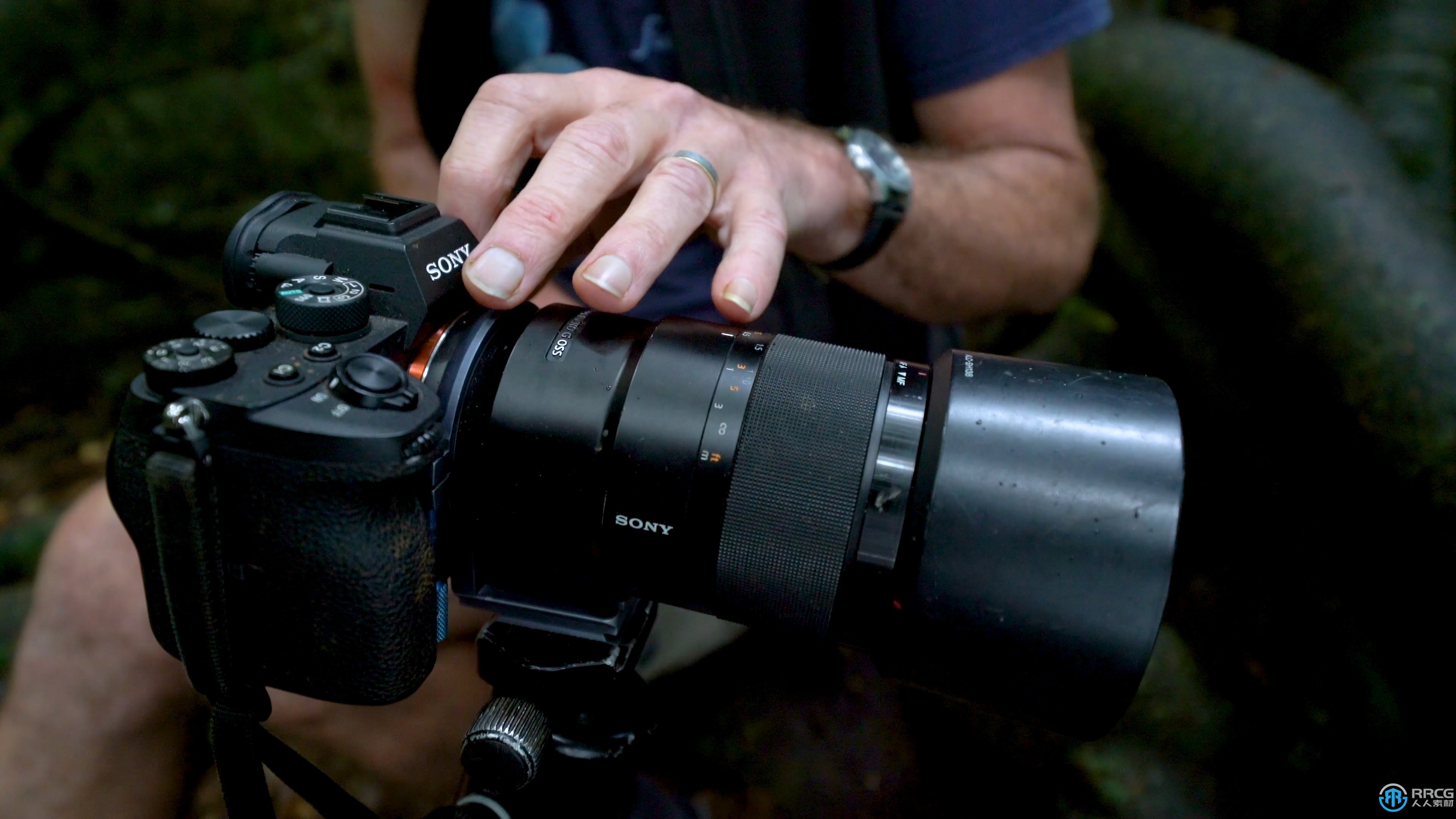 自然森林真菌蘑菇摄影技术大师班视频教程