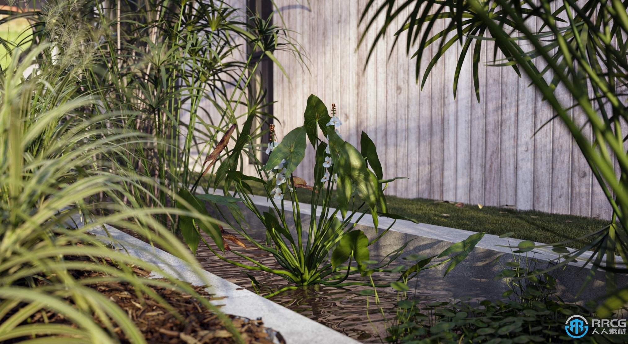 24组香附子水曲柳柳叶菜紫花苜蓿等水生植物3D模型合集