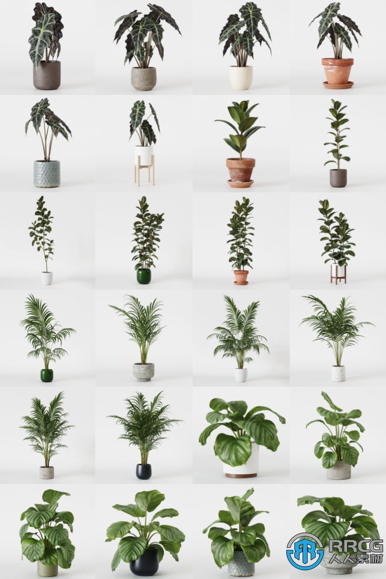48组室内盆栽植物绿植3D模型合集