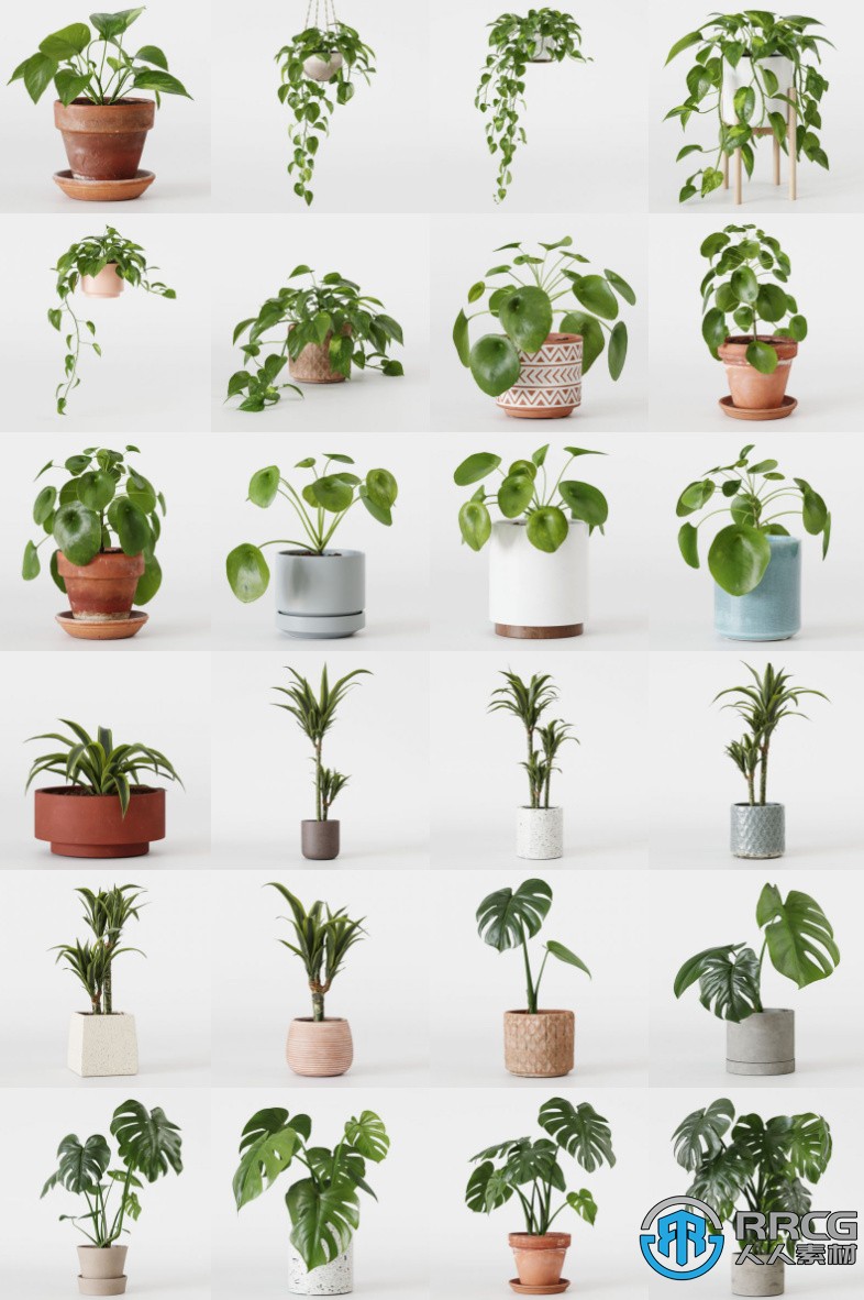 48组室内盆栽植物绿植3D模型合集