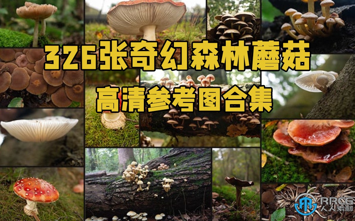326张奇幻森林蘑菇高清参考图合集