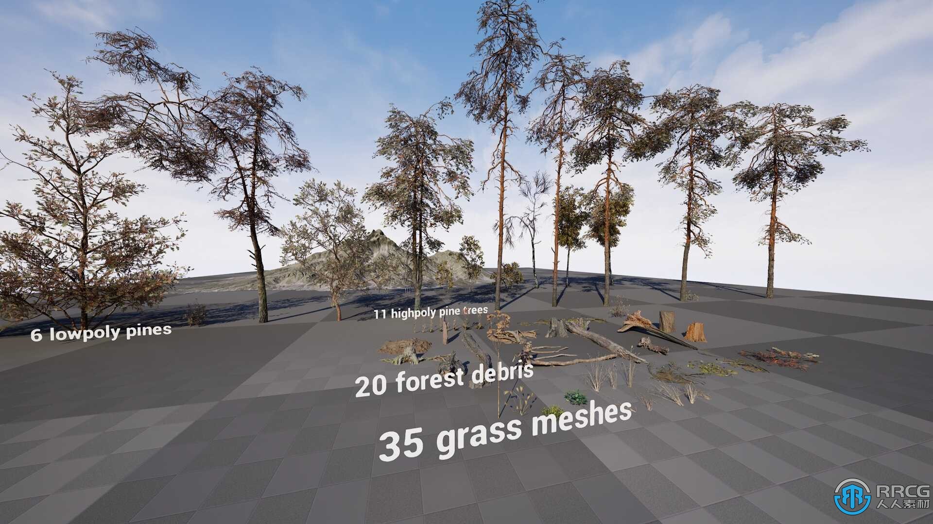 松树林生物群落环境场景Unreal Engine游戏素材