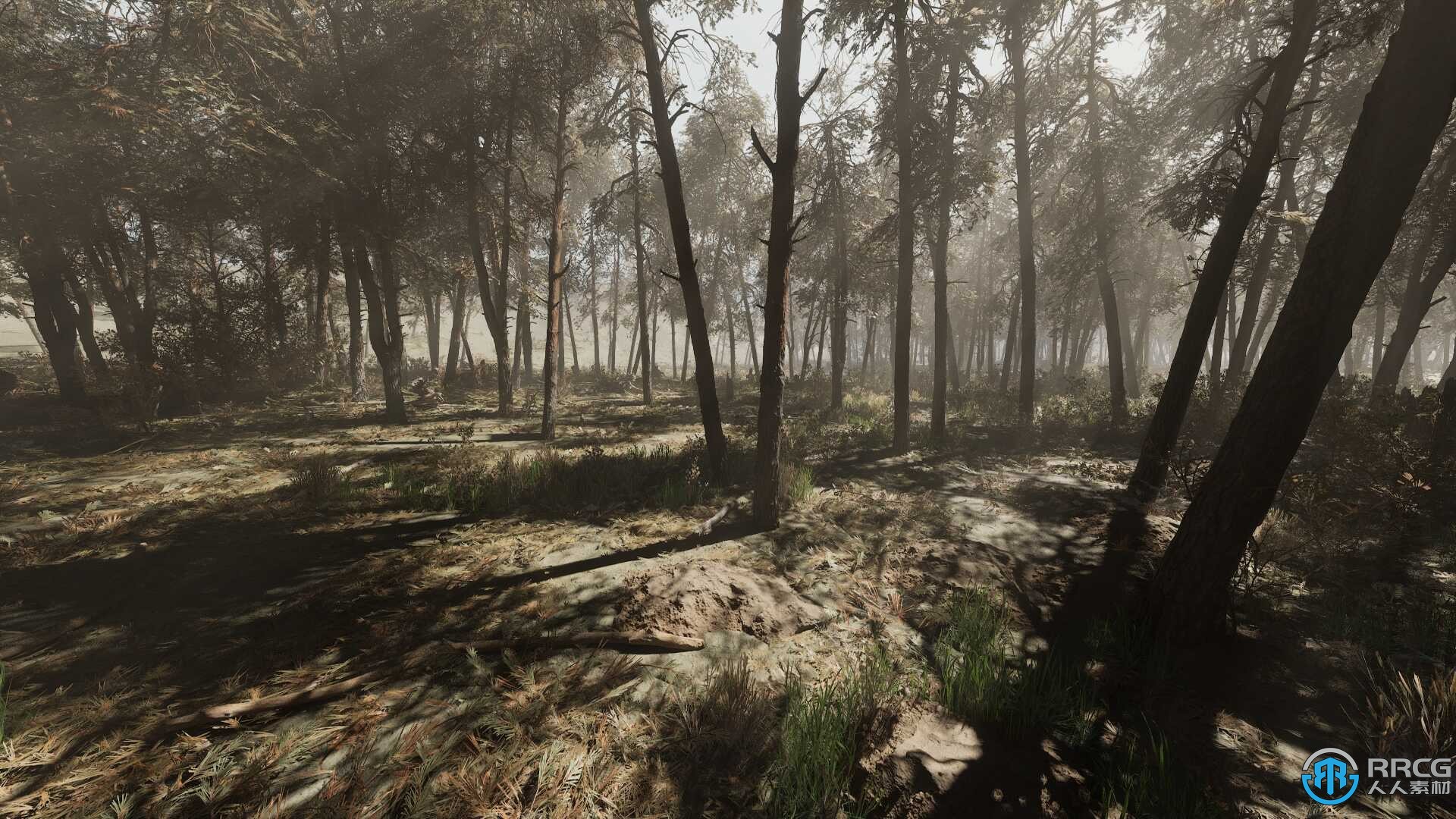 松树林生物群落环境场景Unreal Engine游戏素材