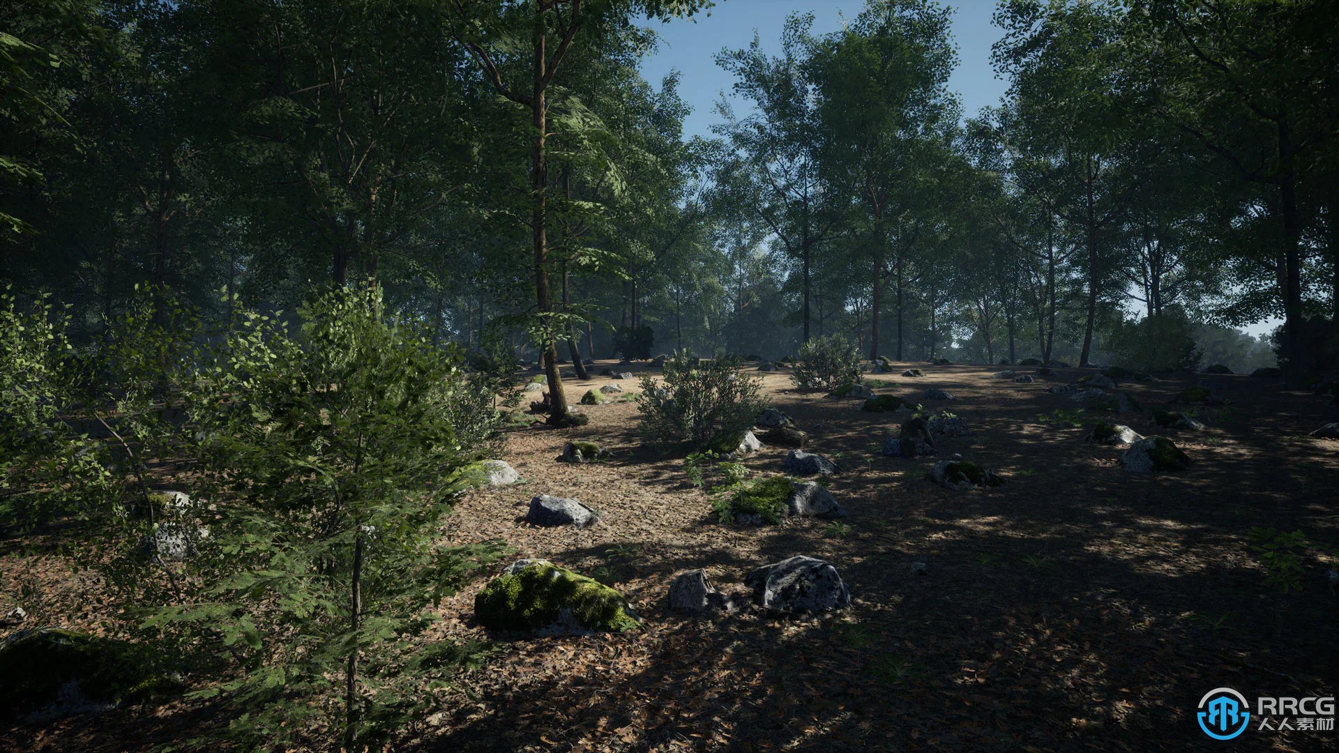 真实橡树森林环境场景Unreal游戏素材