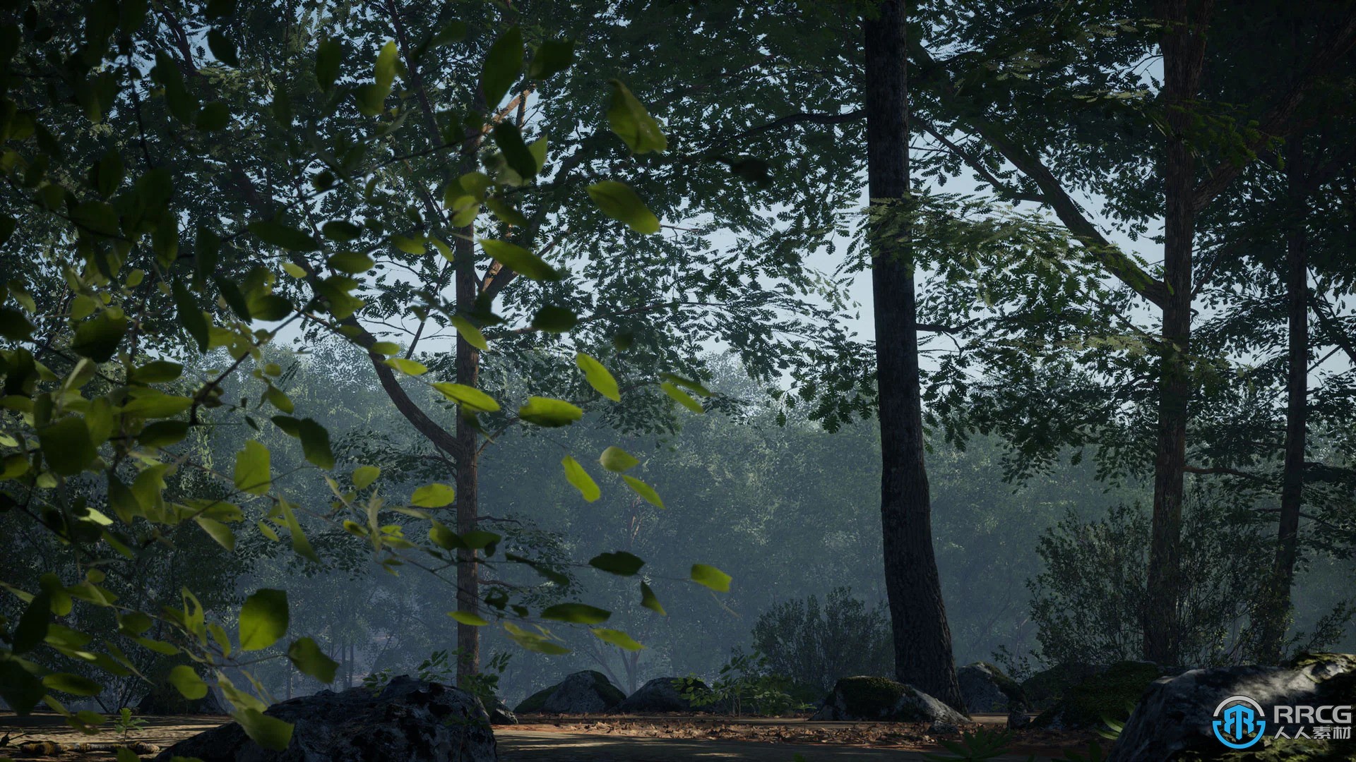 真实橡树森林环境场景Unreal游戏素材