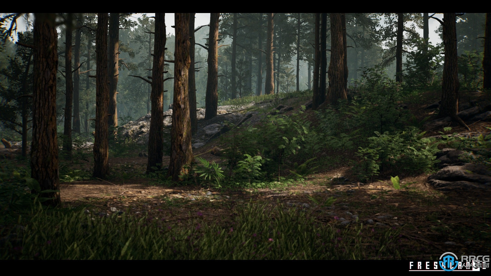 自然环境森林植物树木草地场景Unreal游戏素材