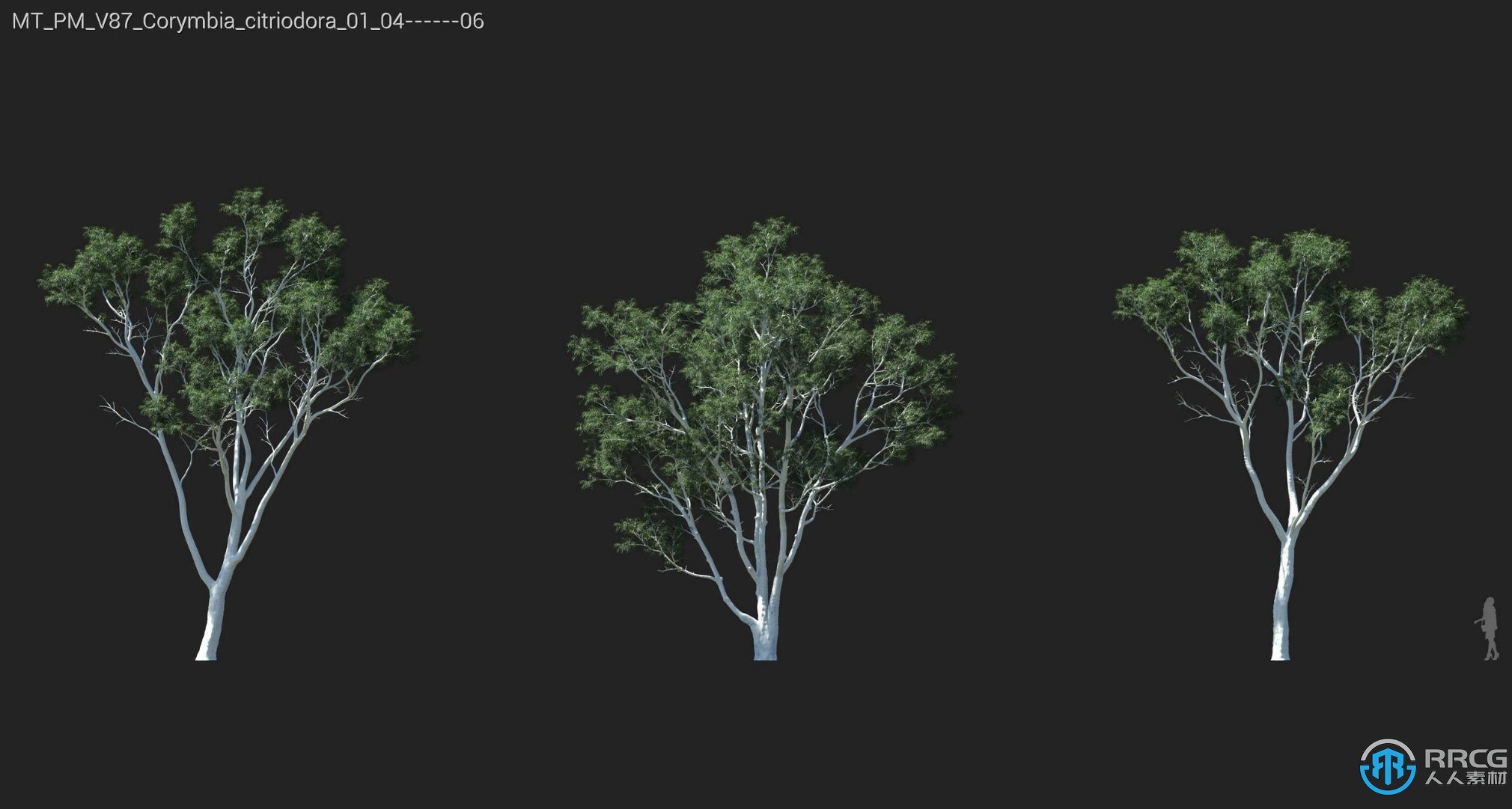 72组常青橡树挪威枫树霍尔姆橡树等植物3D模型合集