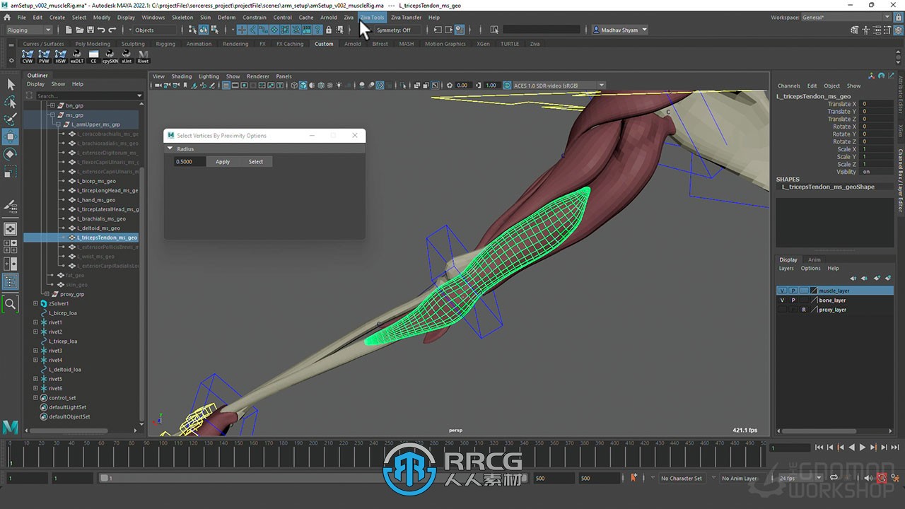 Maya中Ziva VFX人体骨骼组织模拟动画视频教程