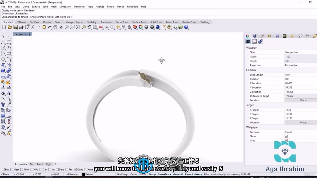 【中英双语】Rhino珠宝设计完全入门指南视频教程