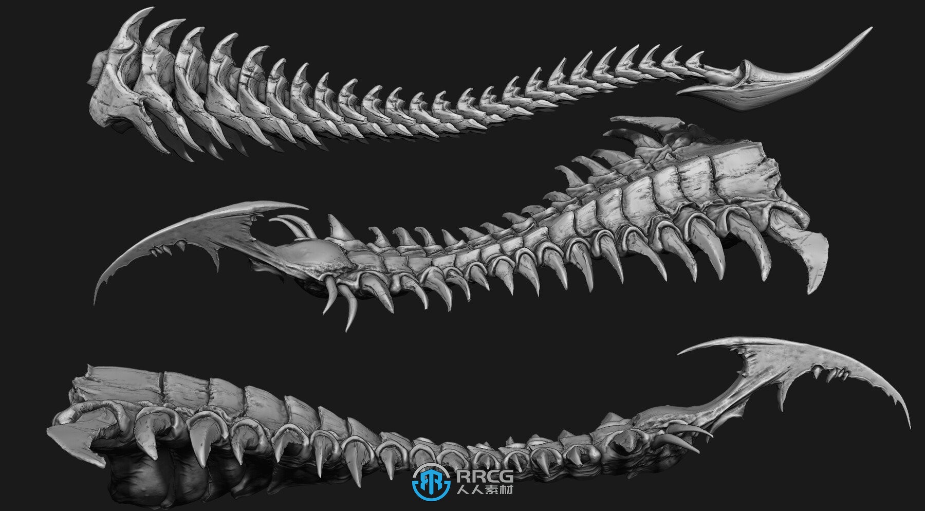 33组怪物猛兽动物尾部尾巴尾骨Zbursh IMM笔刷和3D模型合集