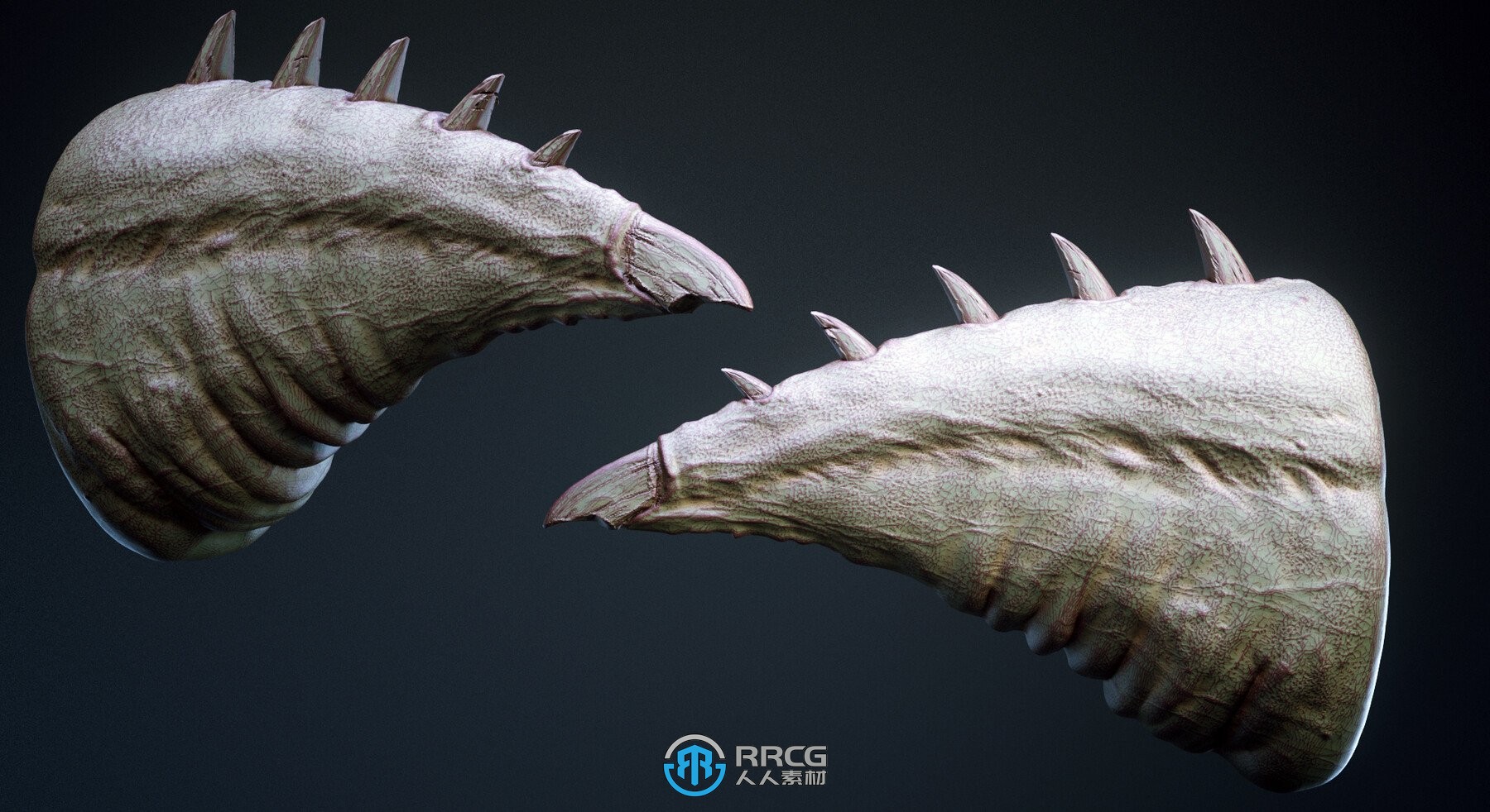 33组怪物猛兽动物尾部尾巴尾骨Zbursh IMM笔刷和3D模型合集