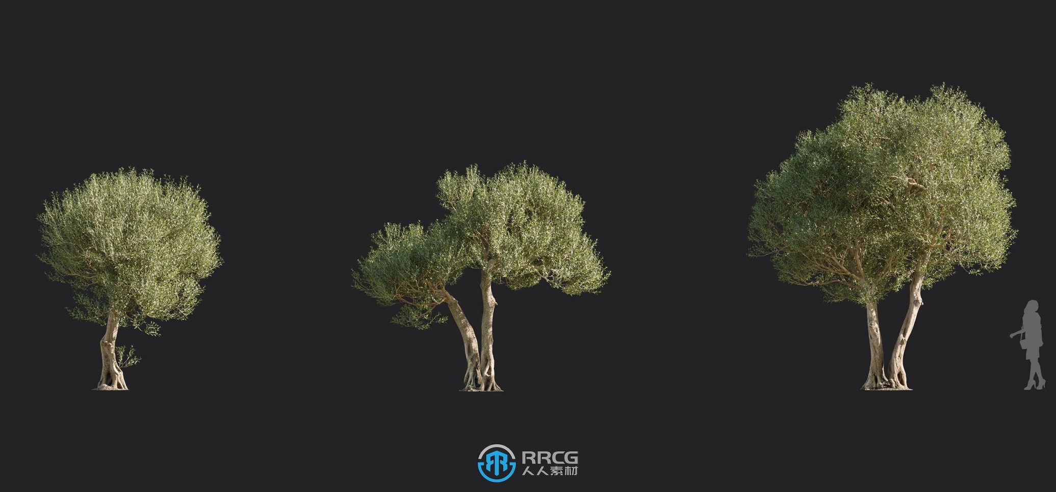 93组高精度橄榄树树木植物3D模型合集