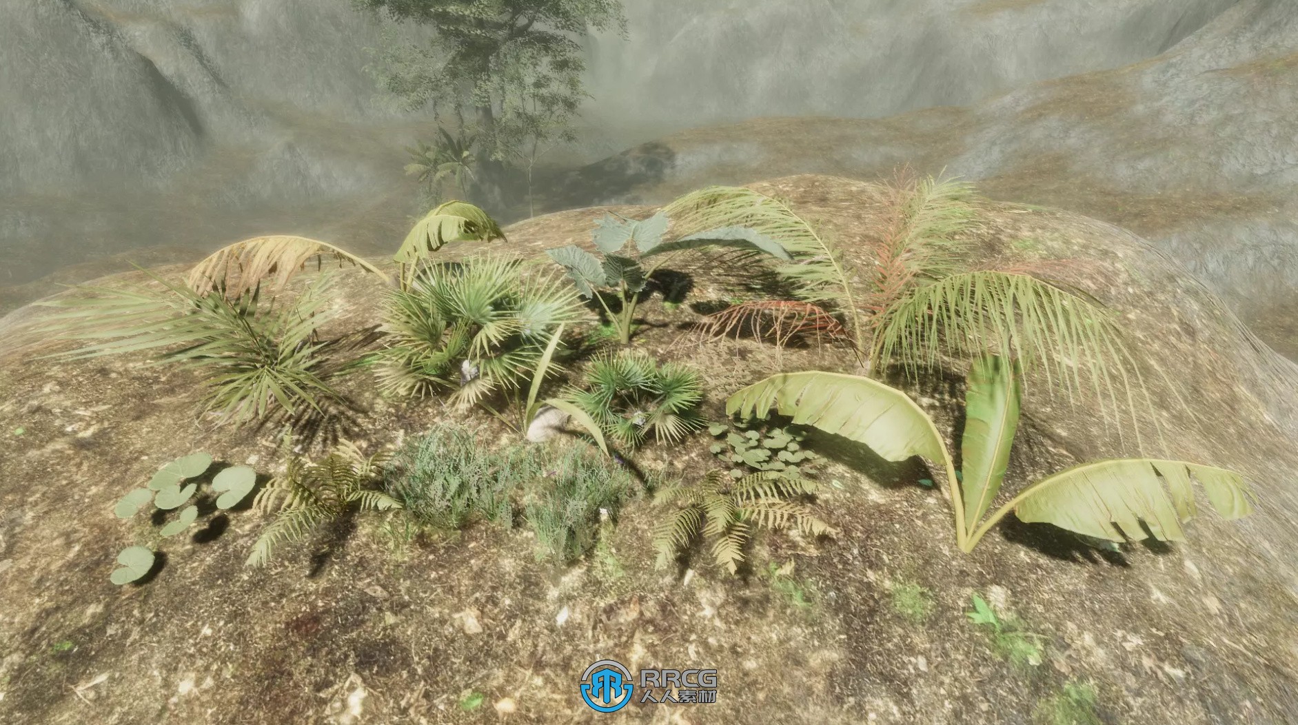 丰富细节热带森林环境场景Unity游戏素材