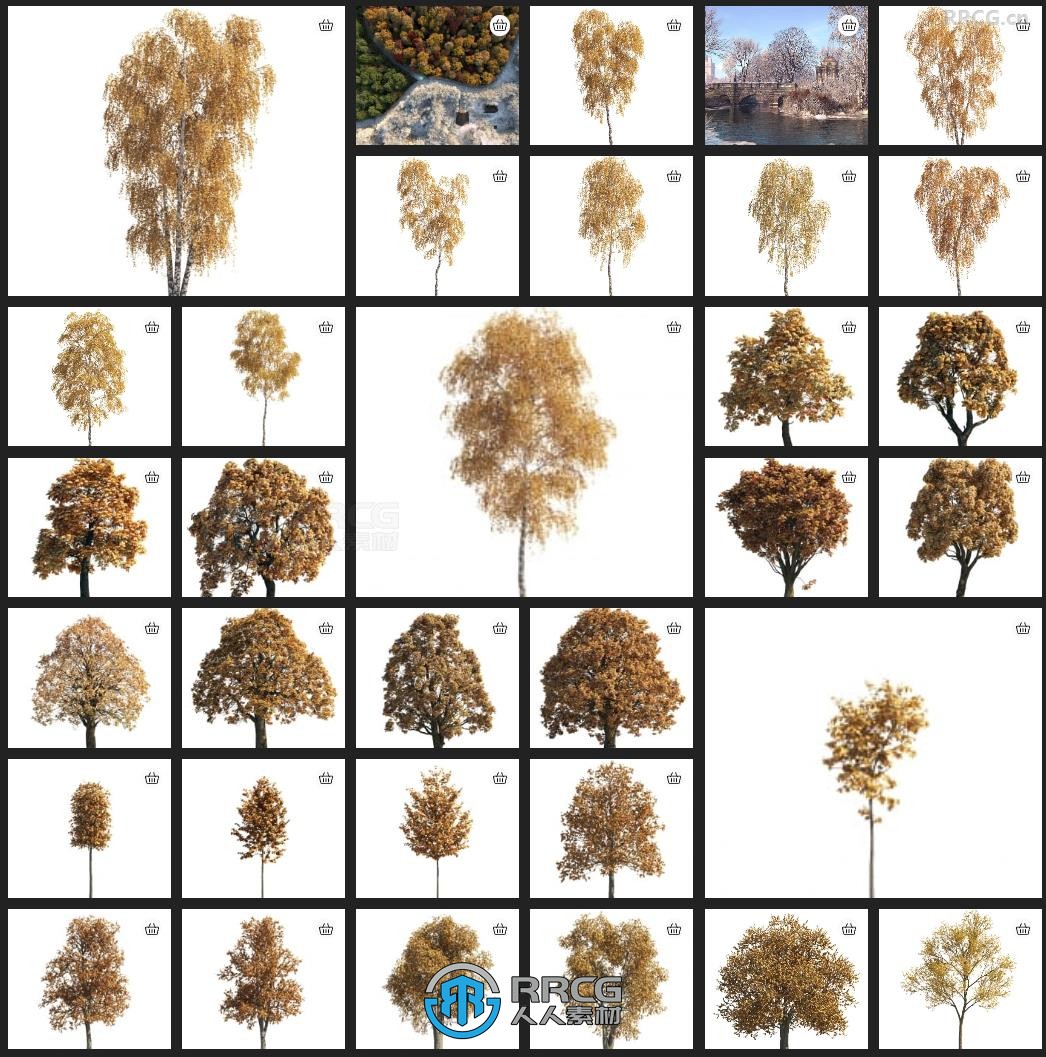 120组四季树木森林植物3D模型合集 Evermotion Archmodels第258季