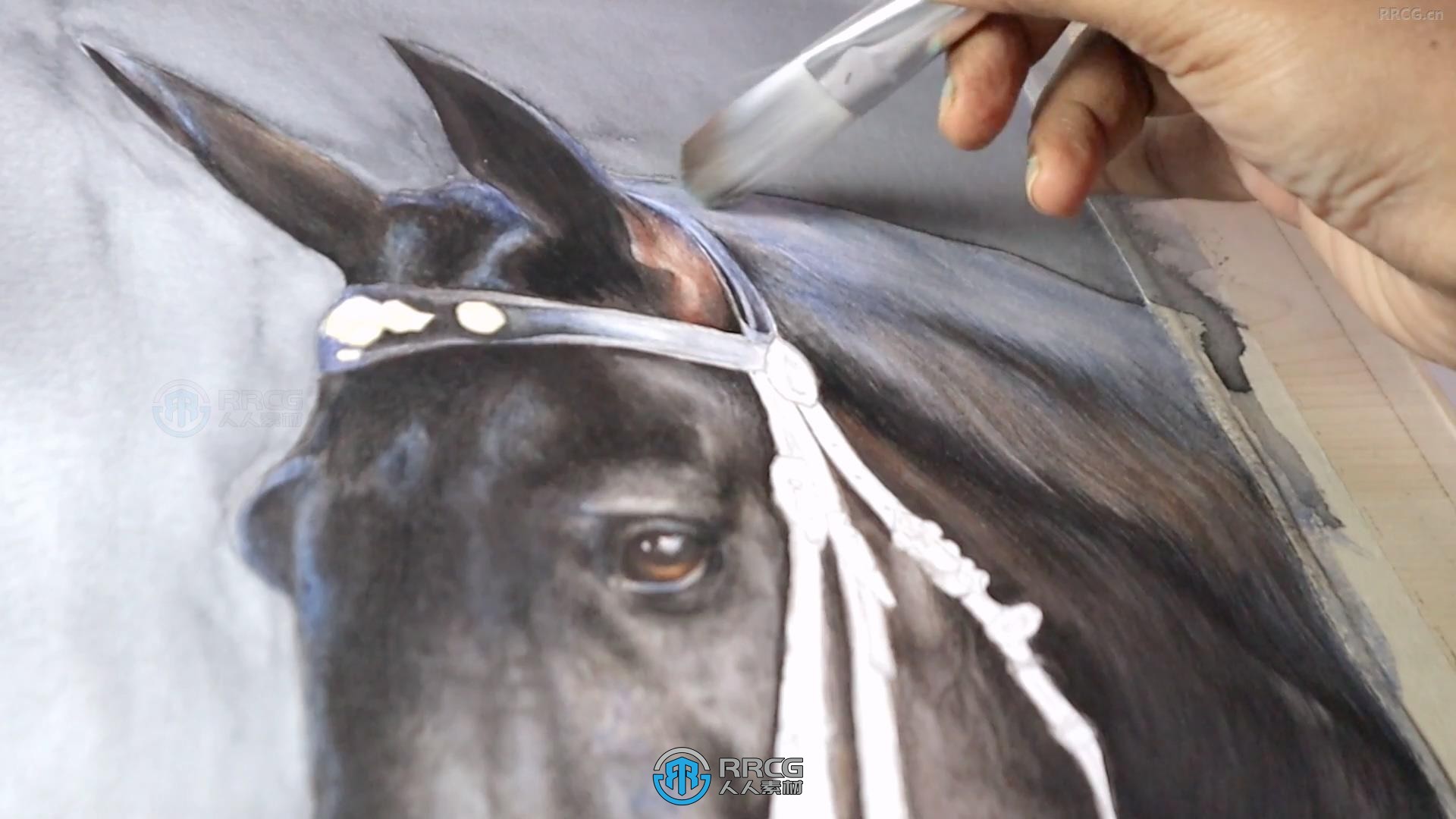 逼真马匹骏马水彩画绘画技法视频教程