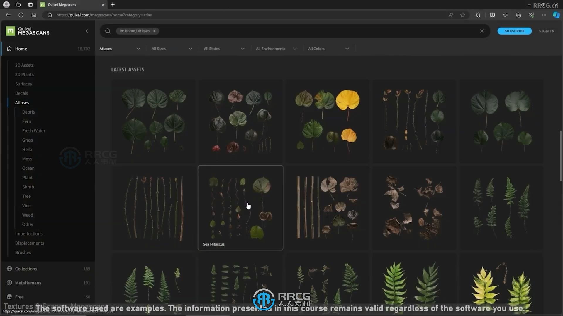 UE5虚幻引擎植物植被制作基础核心技术视频教程