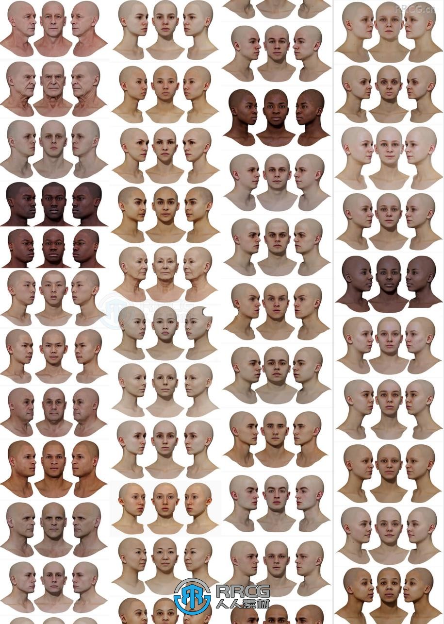 78组真实头部摄影测量捕捉扫描男性女性参考3D模型
