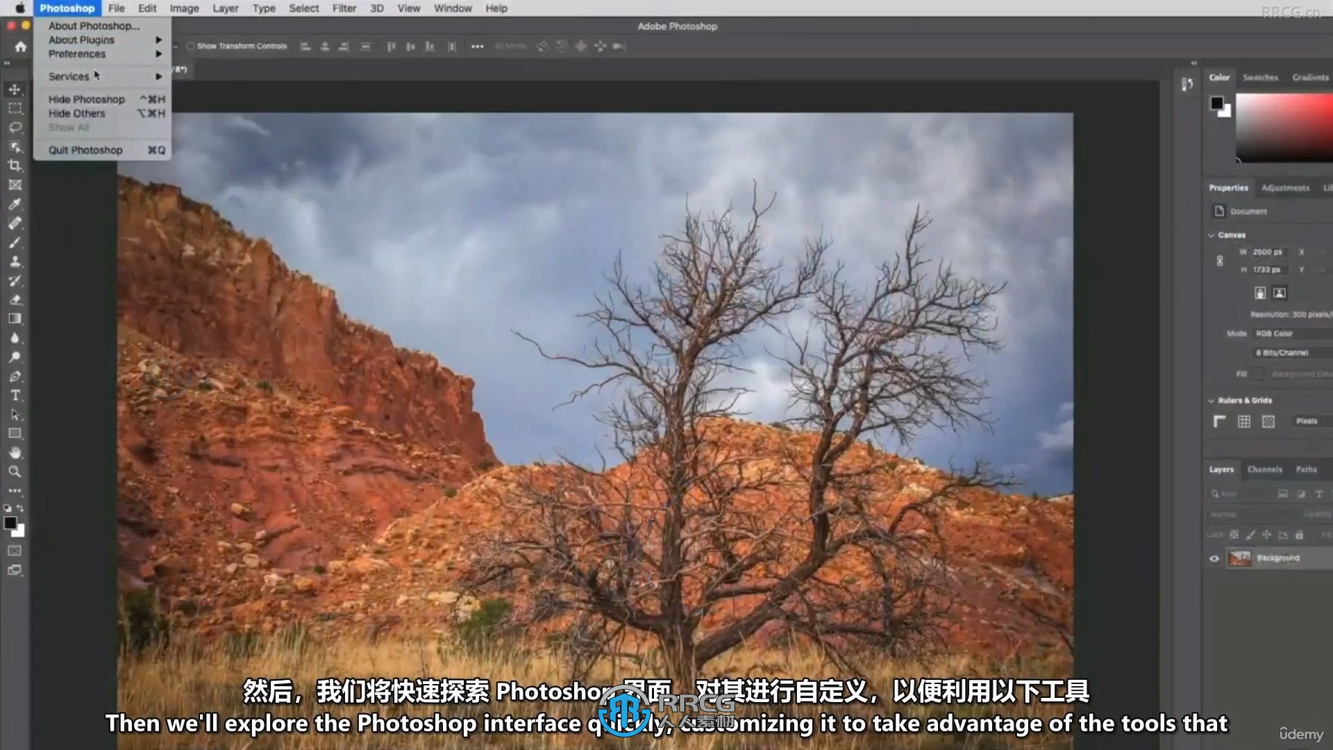 【中文字幕】Photoshop平面设计从入门到高级核心技术视频教程