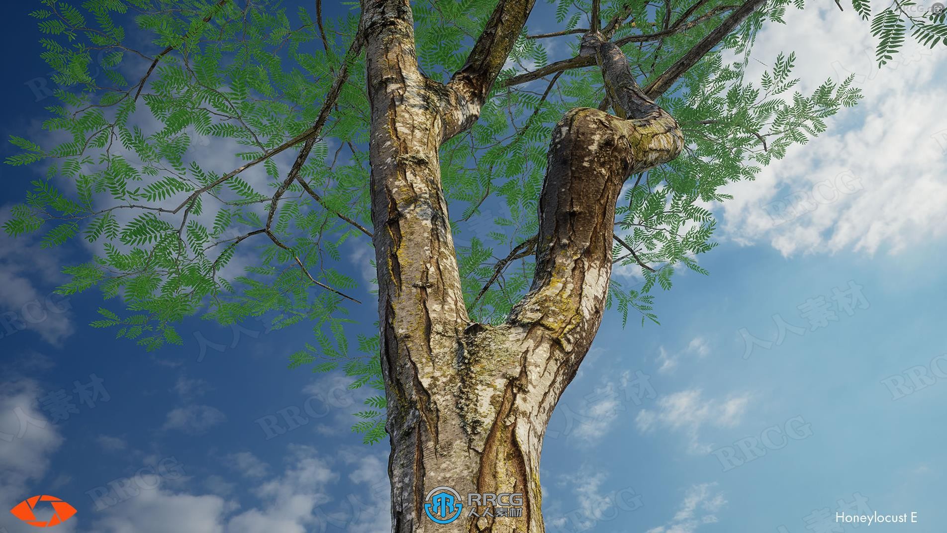 皂荚树植被树木石头UE游戏素材