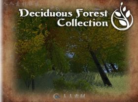 灌木丛落叶森林风景环境3D模型Unity游戏素材资源