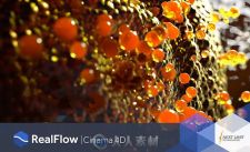 C4D插件-流体动力学模拟插件(含中文汉化)+RealFlow | Cinema 4D V1Win & Mac