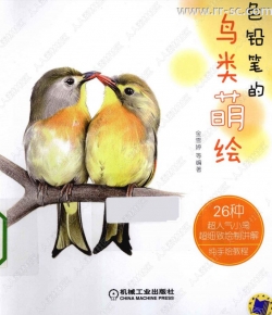 彩色铅笔鸟类萌绘书籍杂志