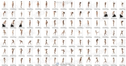 639张女性模特姿势人体绘画艺术高清参考图像合集