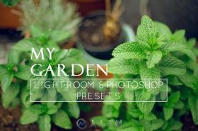 美丽的花园植物照片丰富色调Lightroom预设